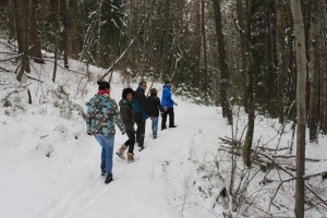 snow trail 1
